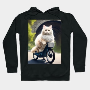 Cat on a Bicycle Hoodie